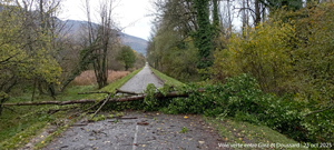 Arbres-sur-voie-verte-Giez-Doussard-Haute-savoie-oct-2025