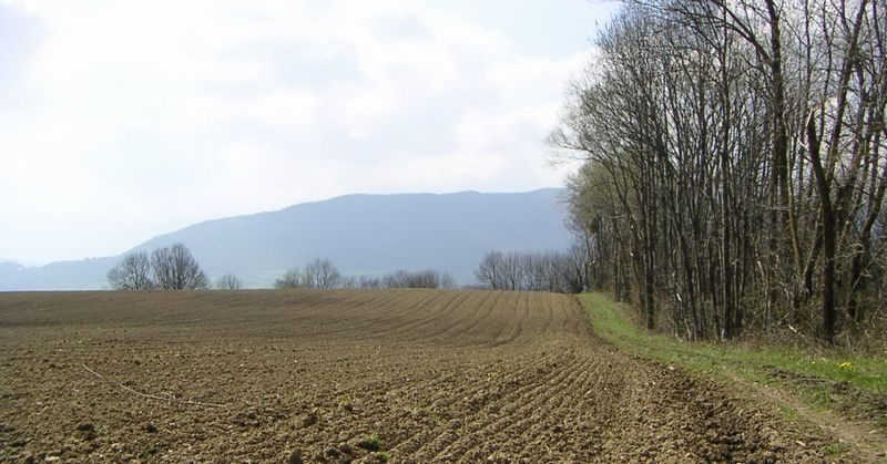 Sur le chemin de compostelle, en Haute-Savoie