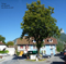 Tilleul-place-gambetta-faverges