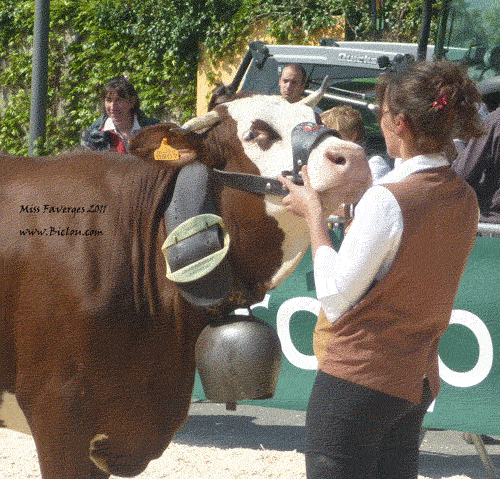 Faverges-le-charvin-le-mont-blanc-la-dent-de-cons