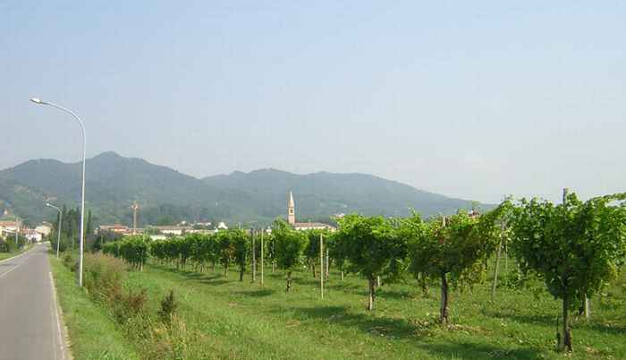 Maser in Veneto, a 15 km di Nervesa , paese di origine della nona Pellizer