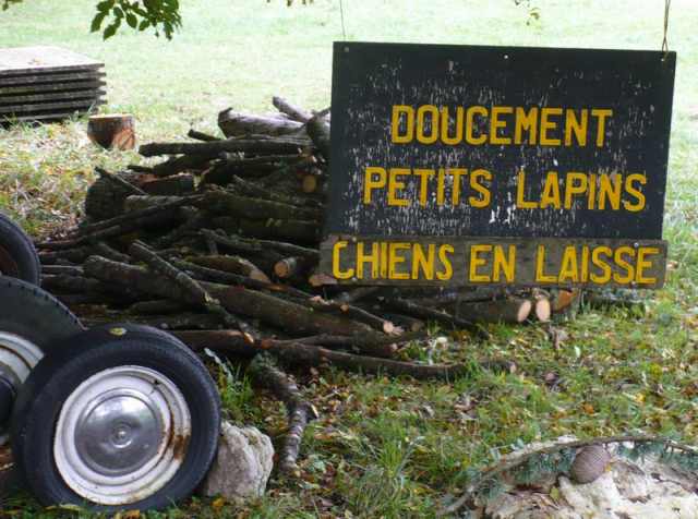 Doucement-petits-lapins-VTT-verthier.