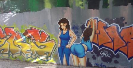 Tags sous les pont de l'Arve à Annemasse