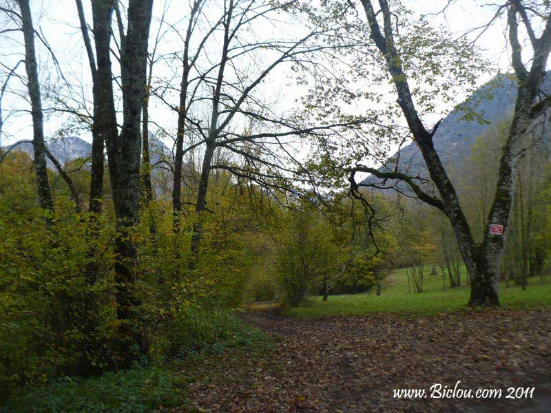 Les bois de cons sainte colombe