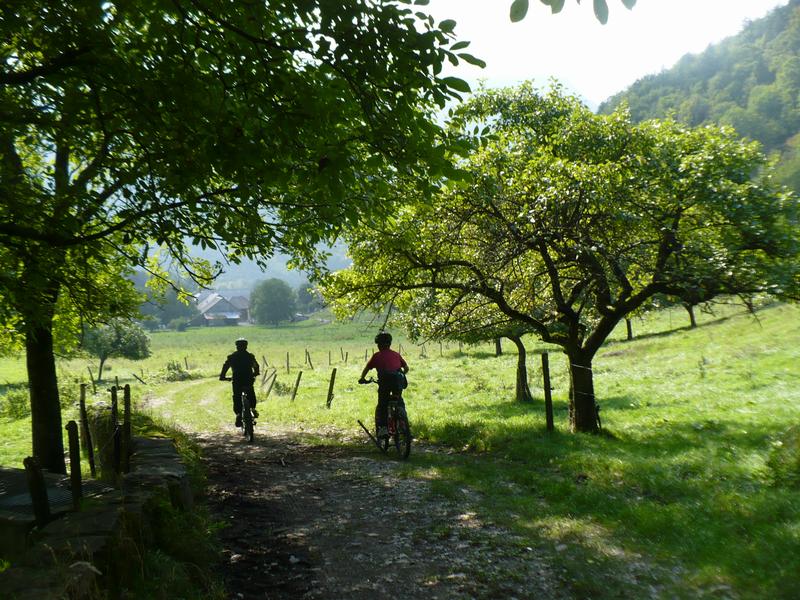 de Vesonne vers le Villard a VTT