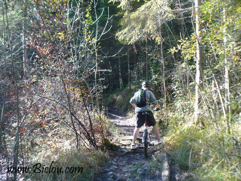 en allant vers l'abbaye de tamie