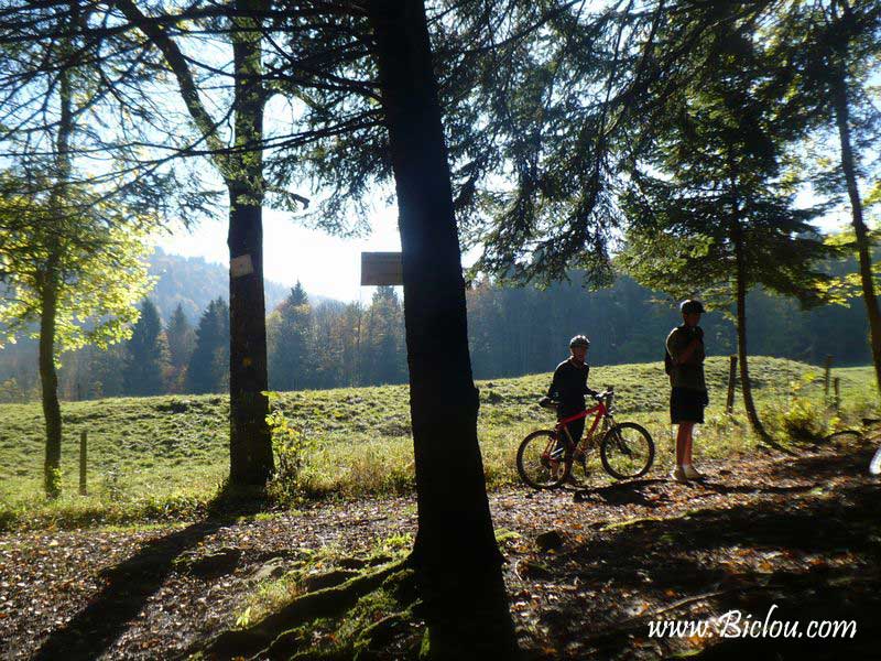 sous l'abbaye de Tamie