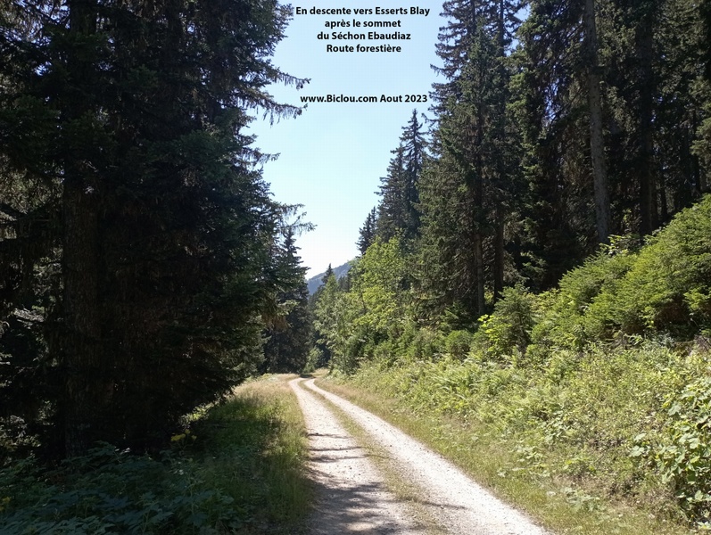 En descente vers Essrts Blay par la route Forestière