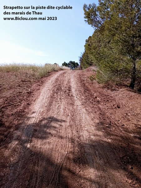 Strapetto sur la piste dite cyclable dans le marais de Thau