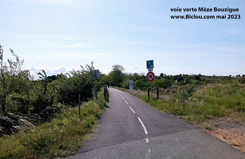 Sur la voie verte de Mèze à Bouzigues
