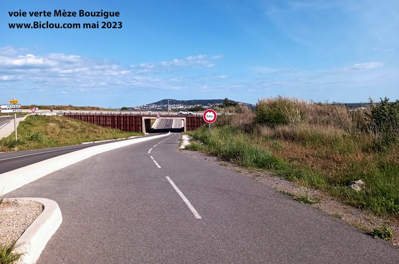 Voie verte de Mèze à Bouzigues, Sète au fond