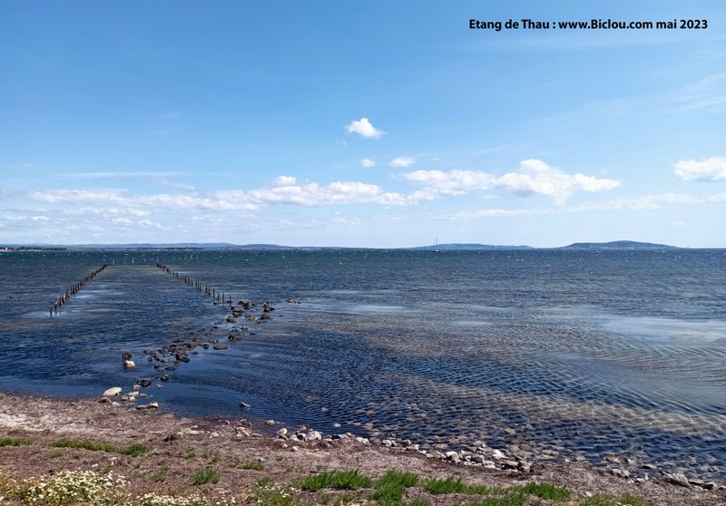 Etang de Thau , le mont saint claire au fond