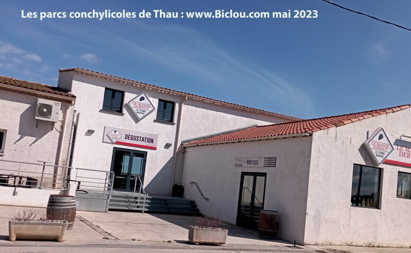 Parcs conchylicoles de Thau