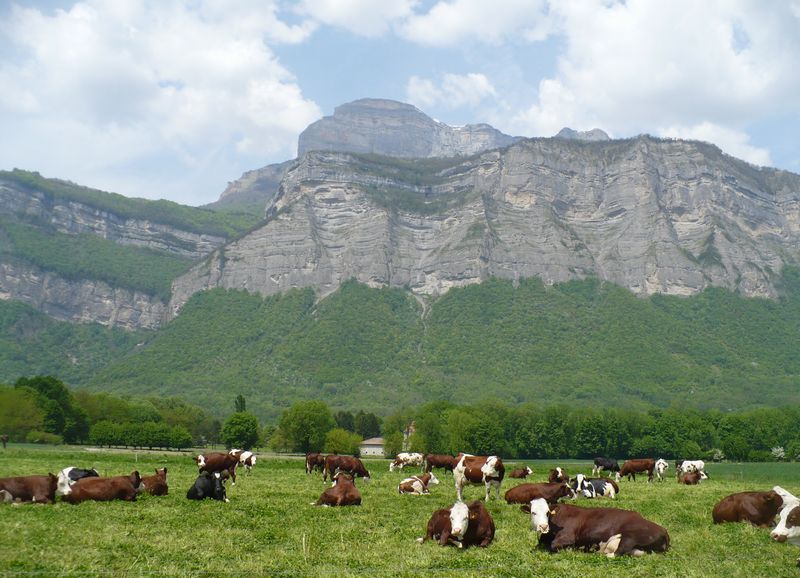 Les sérénissimes au pied de la dent de Crolles