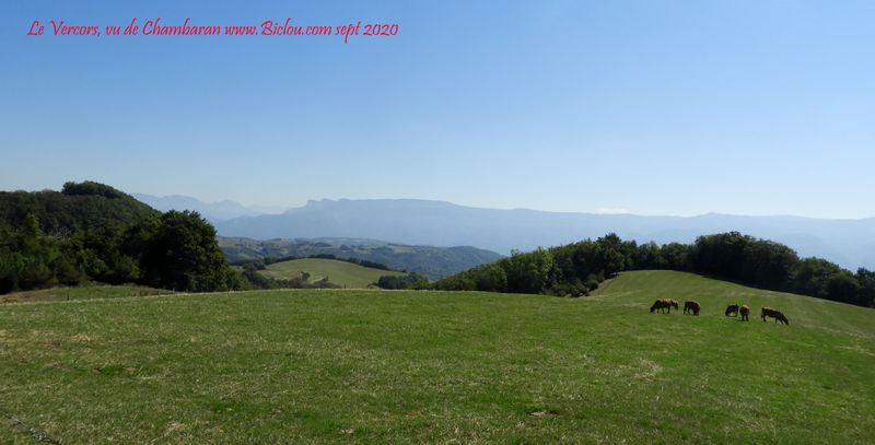 Le plateau de Chambaran, domine la vallée de l'Isère