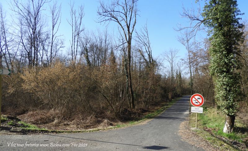 Véloroute dite V-62 (Via-Pre-Alpina) goudronnée et balisée en 2021 sous Fréterive