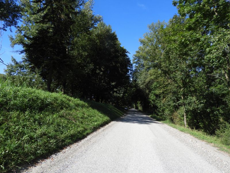 Après le lac de Grésy : Chemin nouvellement aménagé en 2020