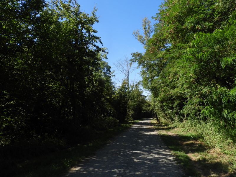 Le long du canal, la Bialle