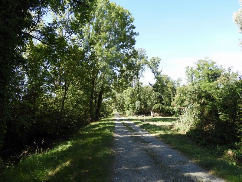 Sur le chemin le long du canal de la Bialle