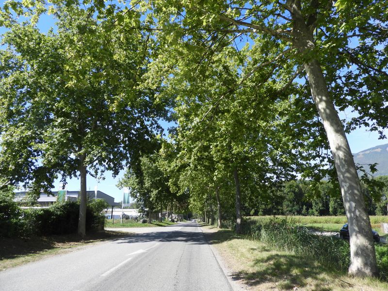 Après Carouge on suit cette route (on a en fait loupé le chemin sur la main droite)