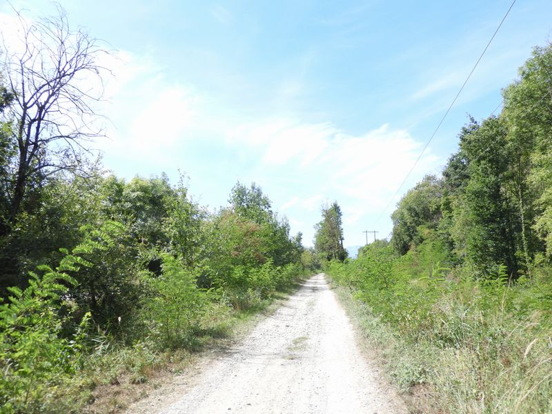 Strade Bianche en combe de Savoie ; Sempre dritto
