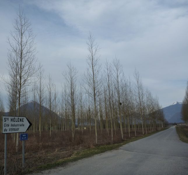St helene sur Isere : cit du Vernay : petite route cyclable tranquille