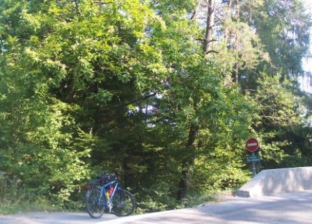 chemin des Bernets à Sevrier, route de Leschaux