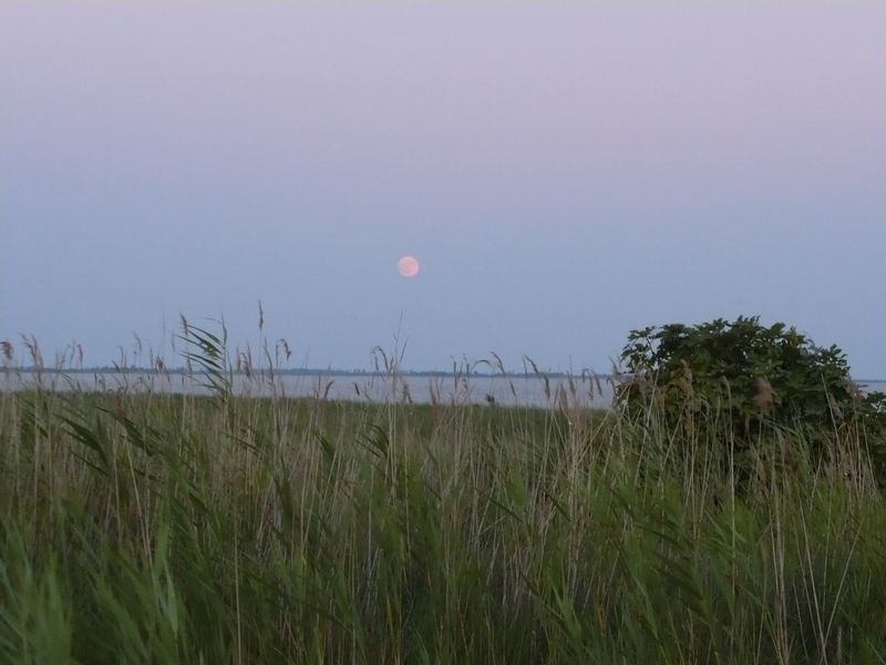 La nuit tombe sur Crau
