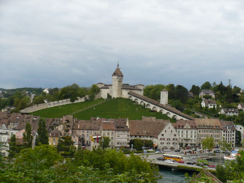 Vignes