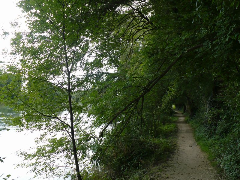 Le long de la Thur