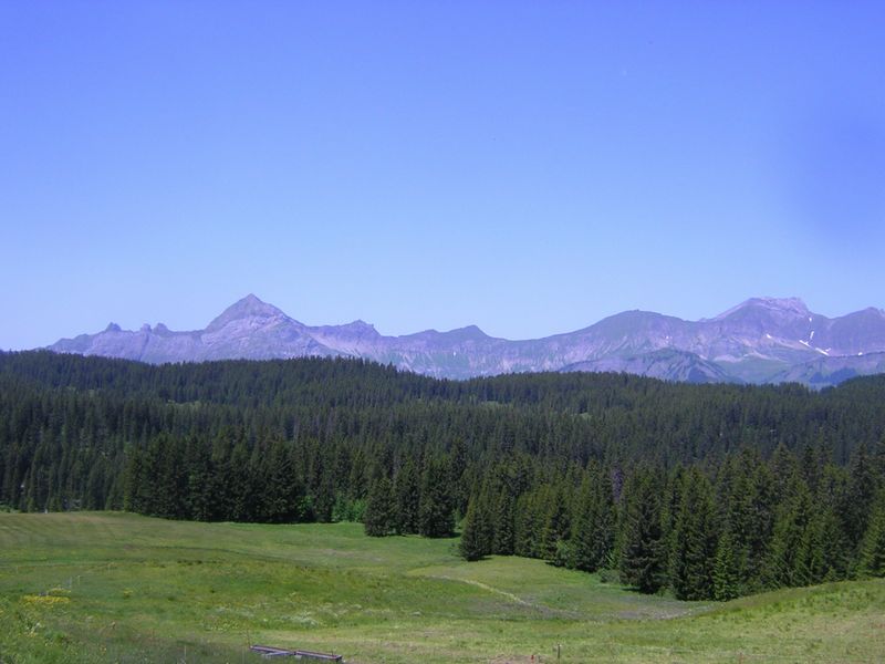 La châine des Aravis vues des Saisies