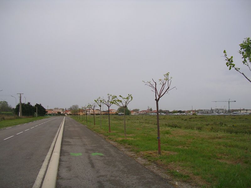 Les arbres de la piste cyclable ViaRhona en 2007 à la sortie de Port Saint Louis