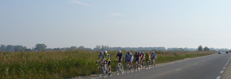 Un groupe de cyclo-touristes sur la bande cyclable d'Arles aux saintes maries : la Camargue