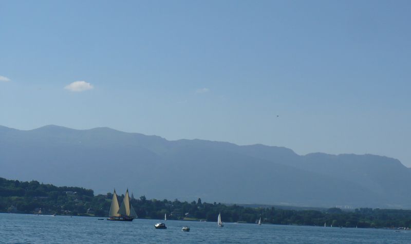 léman bleu en 2008