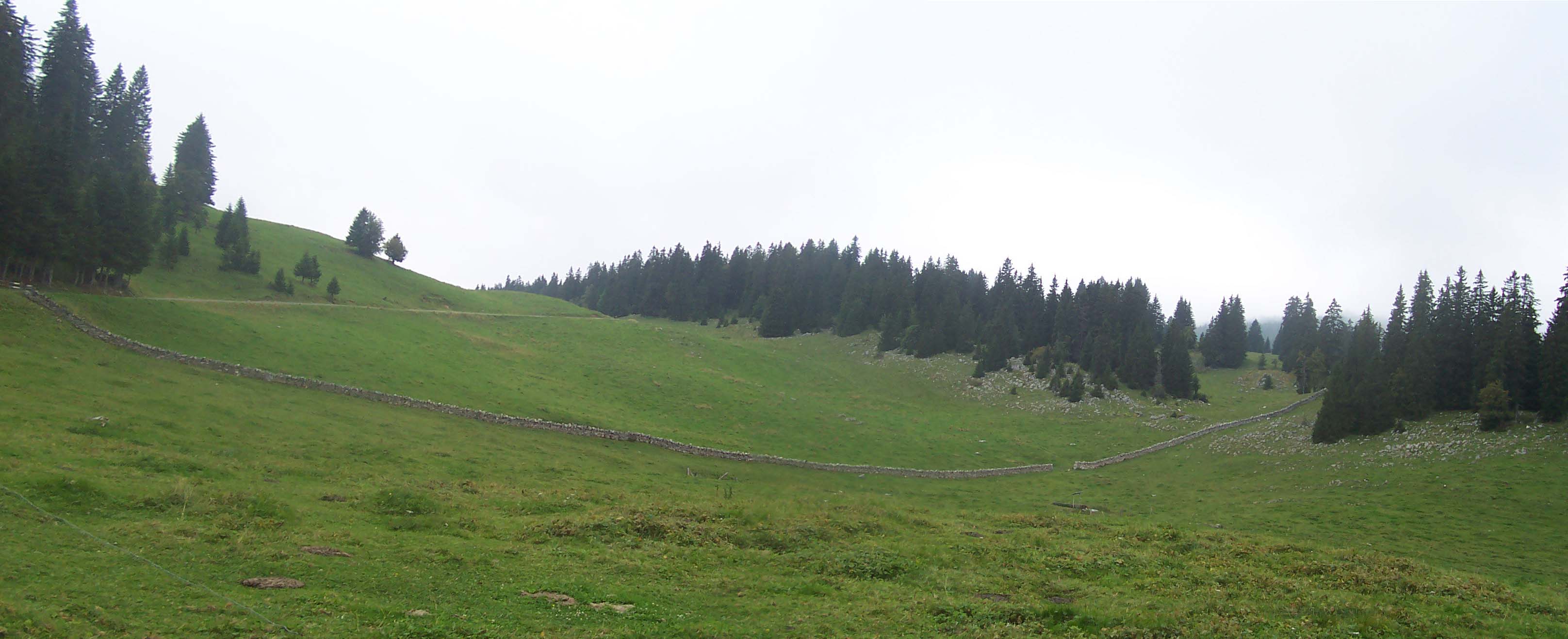 La combe des Amburnex en 2009
