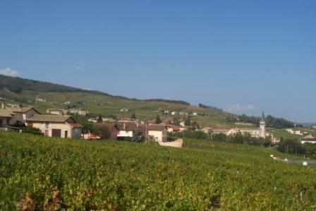 Cyclotourisme en beaujolais