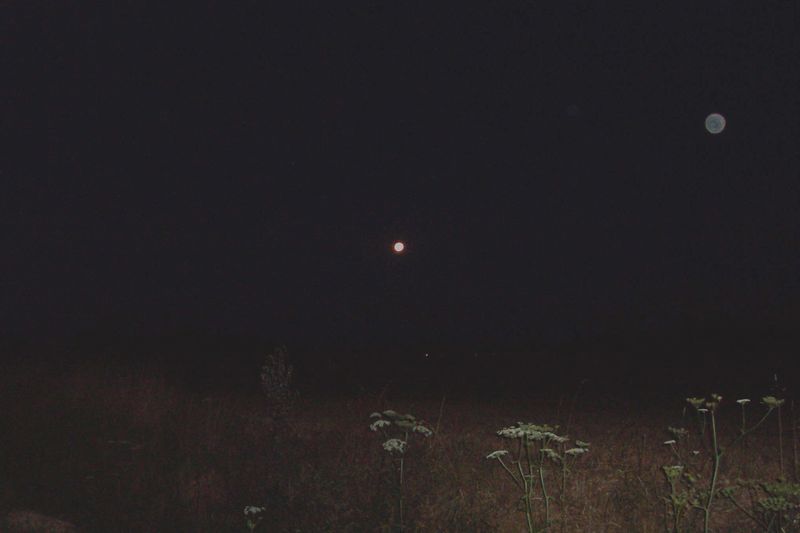 Nuit cyclotouriste , nuit de Chine, la magie, l'étoile du Berger (Vénus) la Lune,et la cigue tout un poème, tout un symbole,