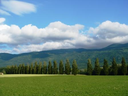 vaud