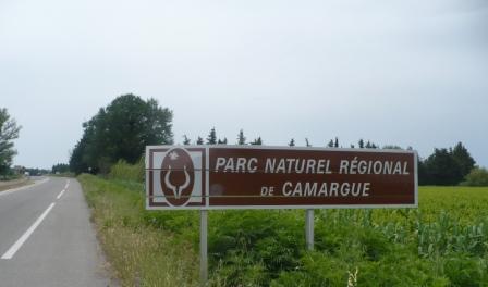 Bandes cyclables en camargue