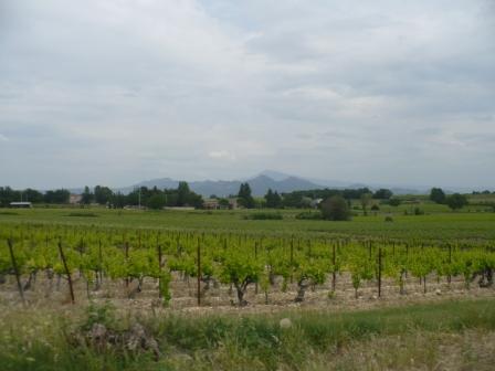 Le mont ventoux vu par Fanny de la drôme provençale