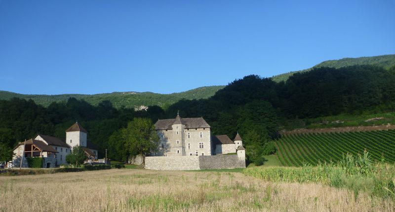 Maison forte et vignoble en Chautagne
