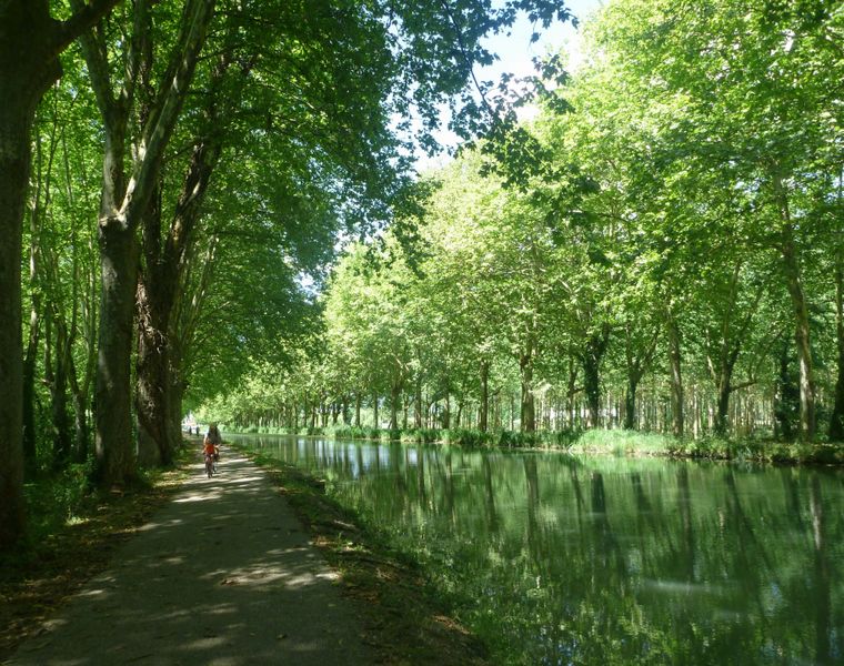 Belle partie goudronneé mais verte , le long du canal latéral de la Garonne