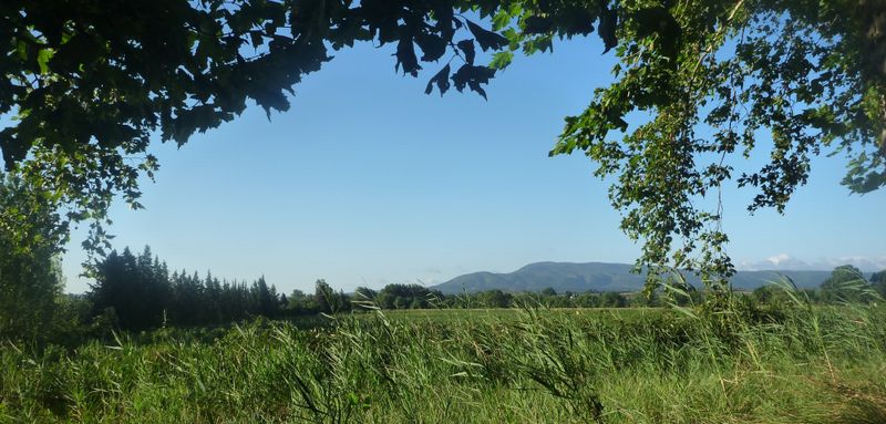 Vue sur les sommets des pyrénnées depuis le canal du midi en 2010