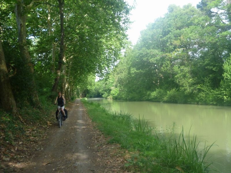 Rouler dans la verdure du canal du midi en 2010