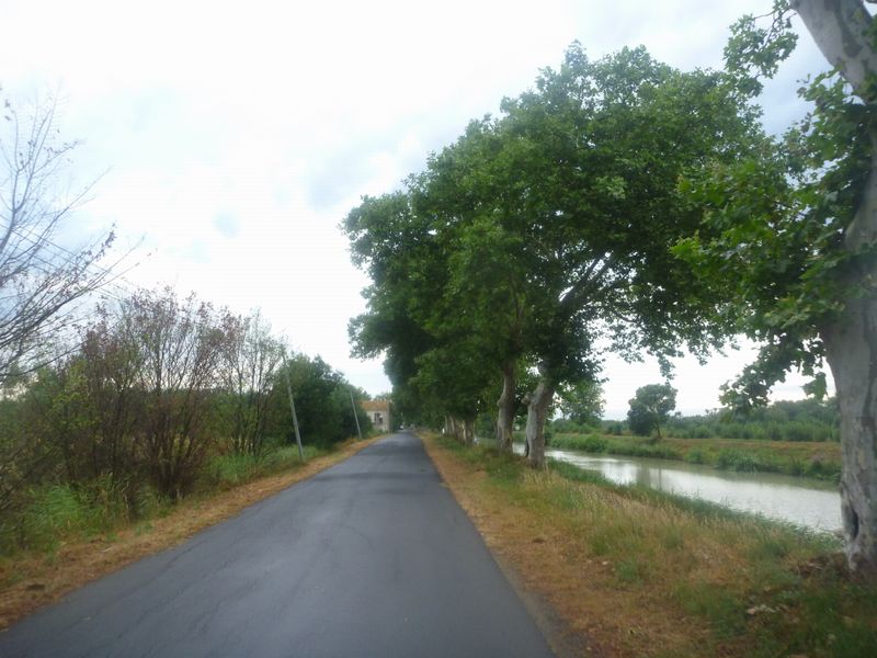 Piste cyclable le long du canal du Midi, 10 km après Agde