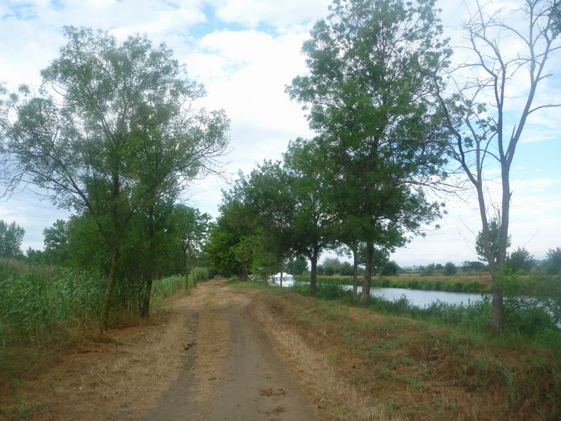La piste cyclable le long du canal du midi est un peu .. champêtre disons