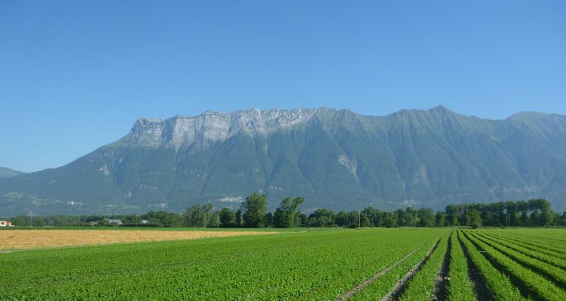 Les arêtes terminales des Bauges : L'Arclusaz, vus de la combe de Savoie en 2010