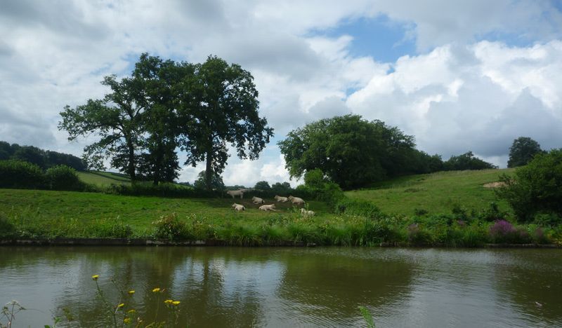 Paysage paisible de Bourgogne le long du canal