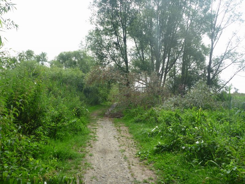 Beau chemin, mais si les bicyclettes ne rechigneront pas à l'arpenter, les vélos eux, hésiteront surtout en cas de pluie