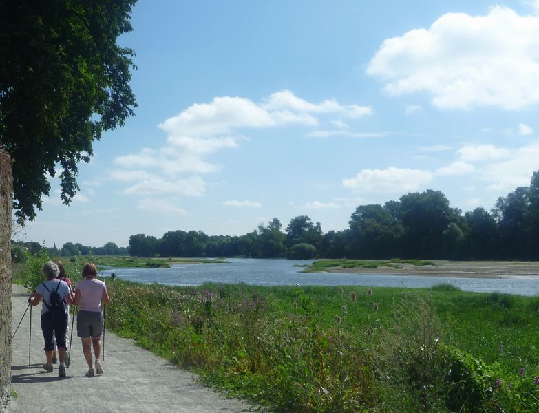 Callypiges marcheuses en bordure de la Loire en 2010